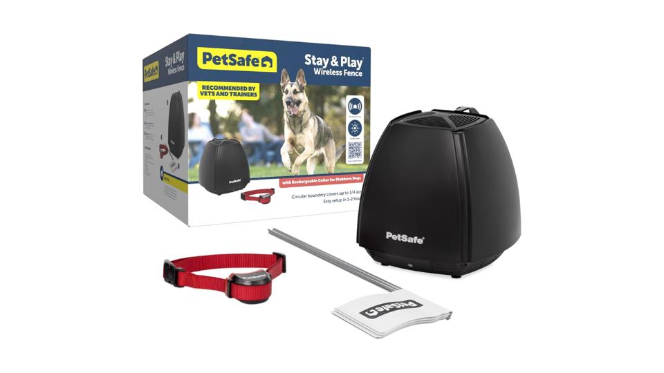 Best Wireless Dog Fences 2025 Forbes Vetted