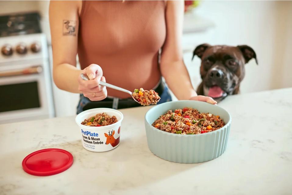 Best Dog Food Delivery Services 2025 - Forbes Vetted