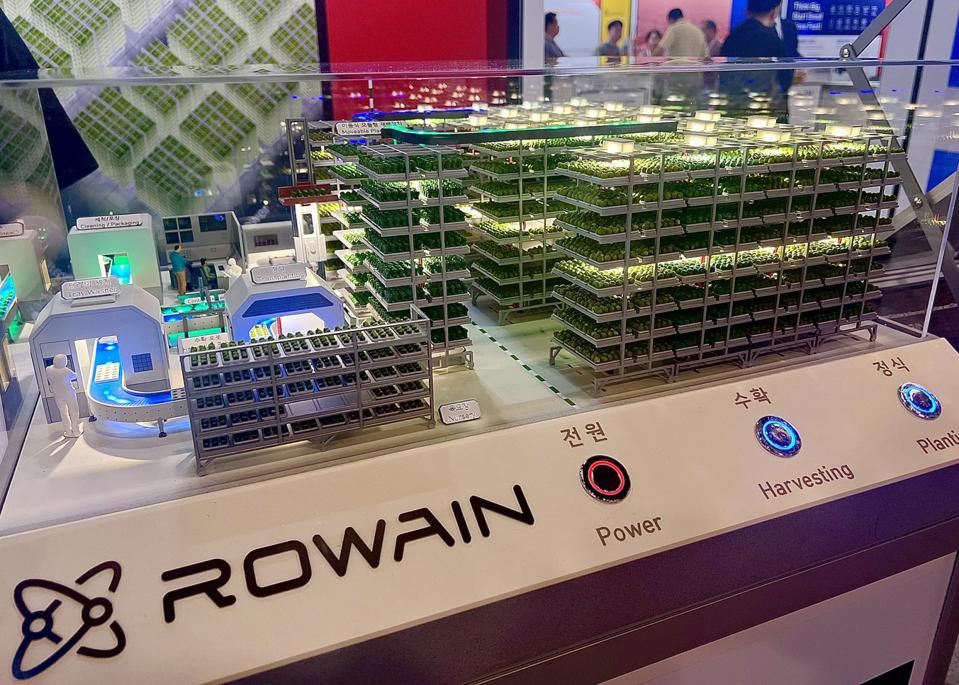 Mock Rowain ecosystem at CES