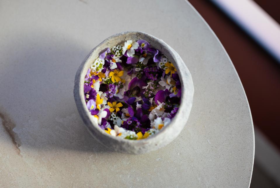 Seasonal Paradox at Vespertine