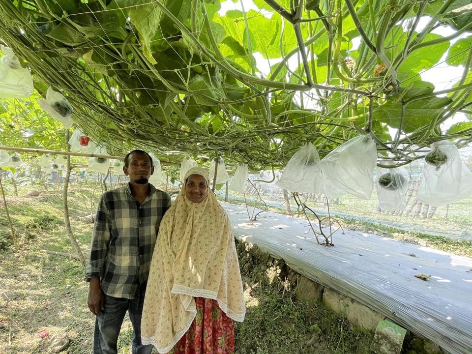 Bangladesh Happy Couple - Pumpkin Farming - Medium