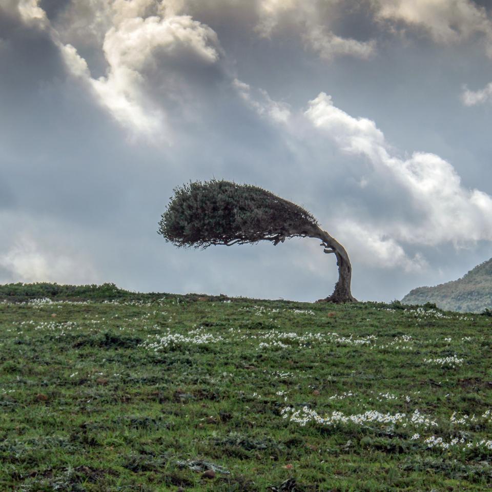 Mengapa Kepemimpinan adalah Kunci Ketahanan Siber Organisasi Masa Kini