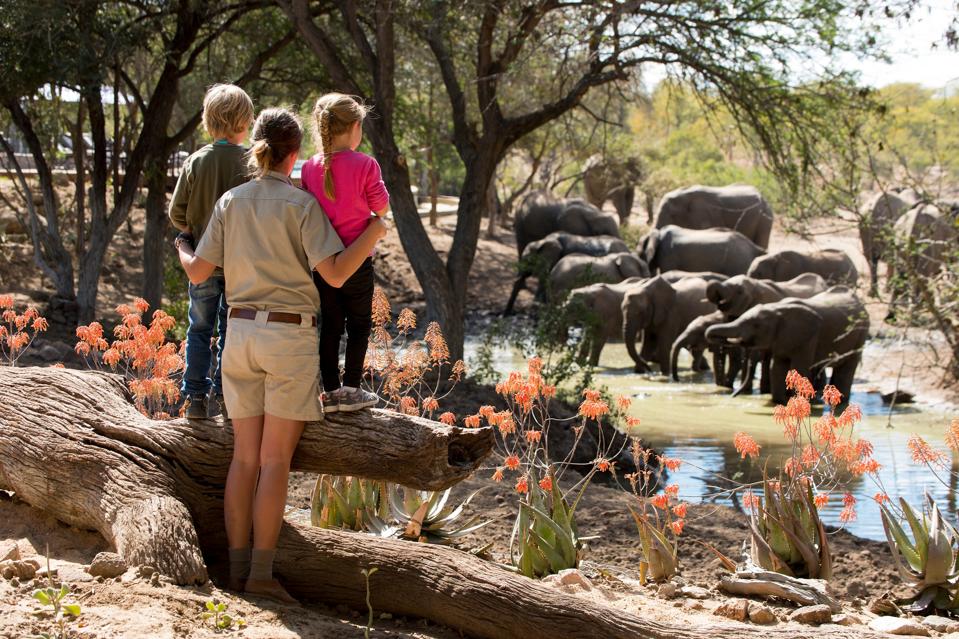 Pariwisata Berkelanjutan: Mengubah Dampak Lingkungan Jadi Peluang Konservasi