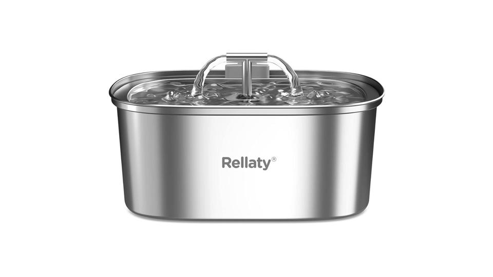 Best Cat Water Fountains 2026 - Forbes Vetted