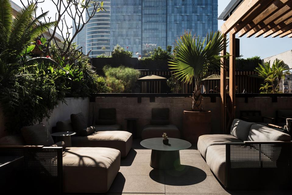 a tropical terrace rooftop