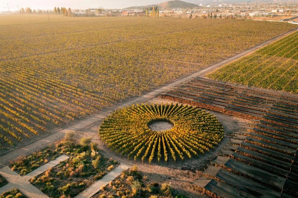 sundial vineyard Don Melchor