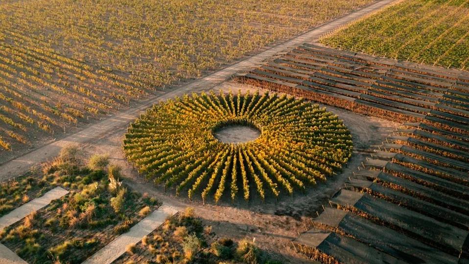 sundial vineyard Don Melchor