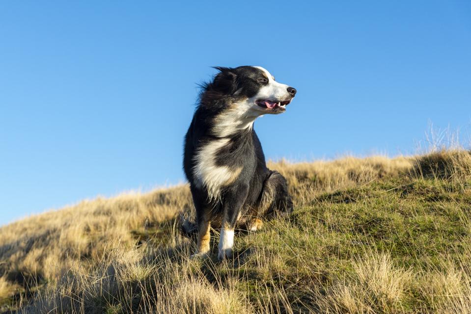 Cara Mudah Perbarui Aksesori Apple Kamu untuk Resolusi Tanpa Stres