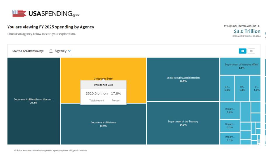DOGE dan Revolusi Transparansi Anggaran Amerika Serikat di Tahun 2025