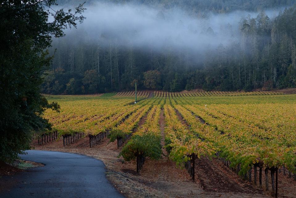 960x0.jpg