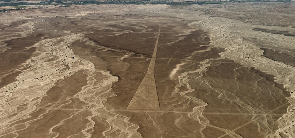 Fosil Laut Tersembunyi di Gurun: Mengungkap Sejarah Laut di Padang Pasir