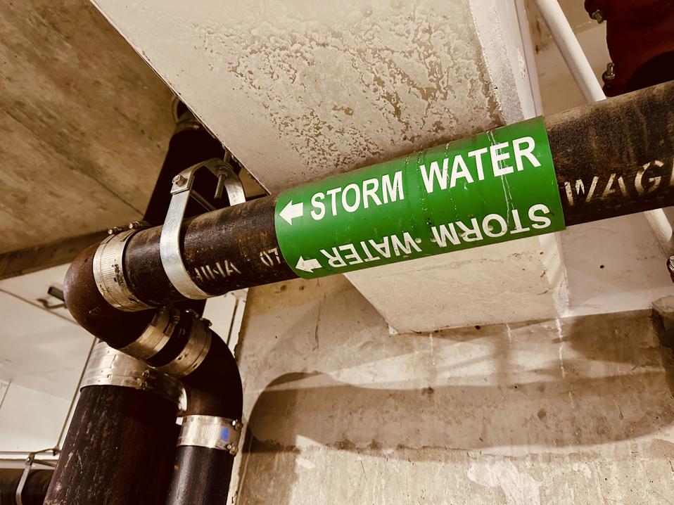 Spons Selulosa Pintar Bisa Bersihkan dan Pulihkan Logam dari Air Hujan Kota