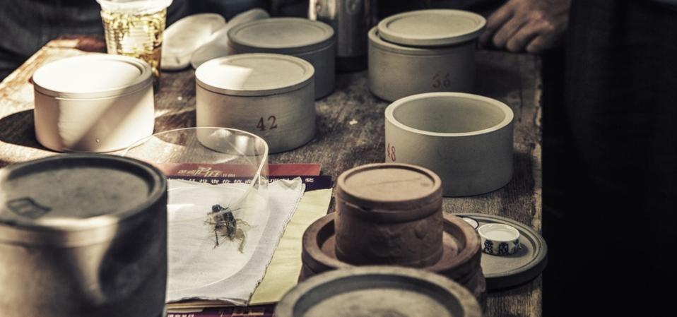 Keunikan dan Ilmu di Balik Tradisi Adu Jangkrik di Cina