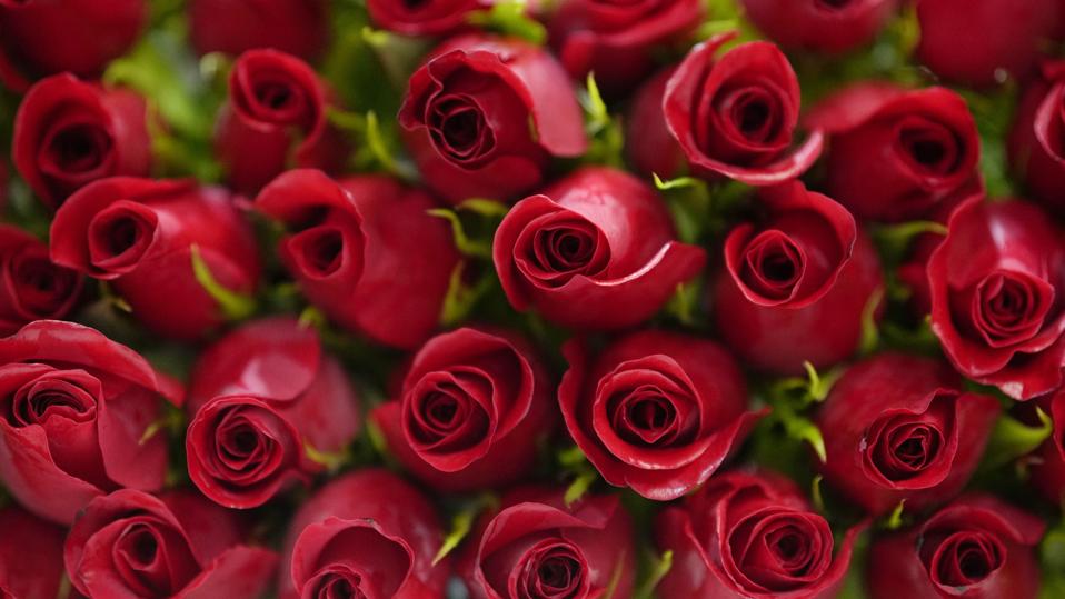 Bagaimana AI Mengubah Cara Kita Memberi Hadiah di Hari Valentine 2024