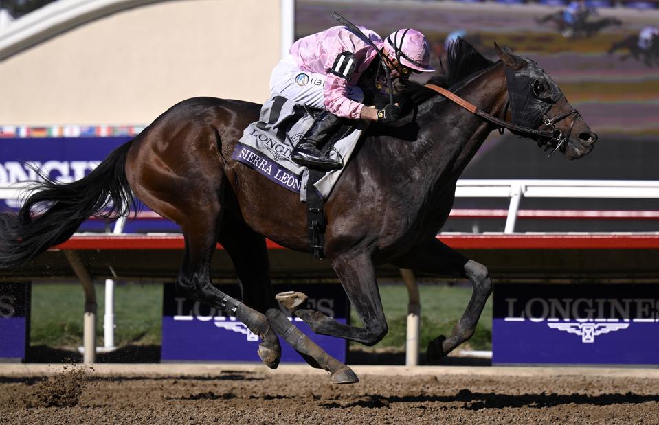 Risen Star Odds And Picks On 2025 Road To The Kentucky Derby
