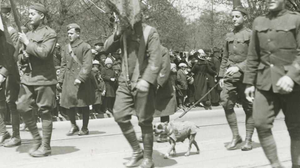 Sergeant Stubby