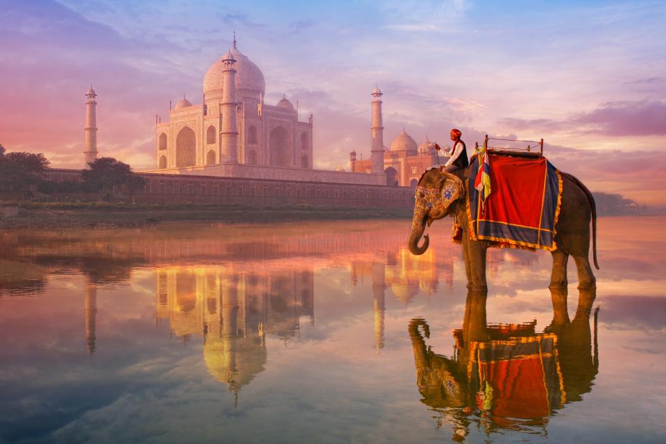 elephant & rider at Taj Mahal
