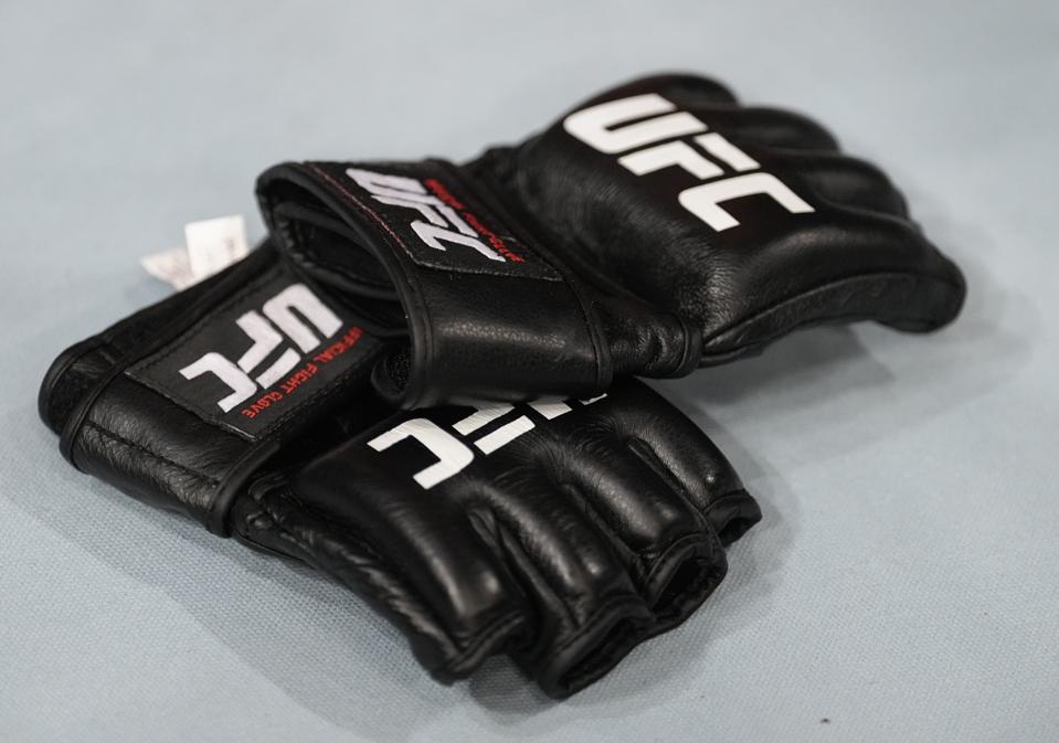 UFC Gloves