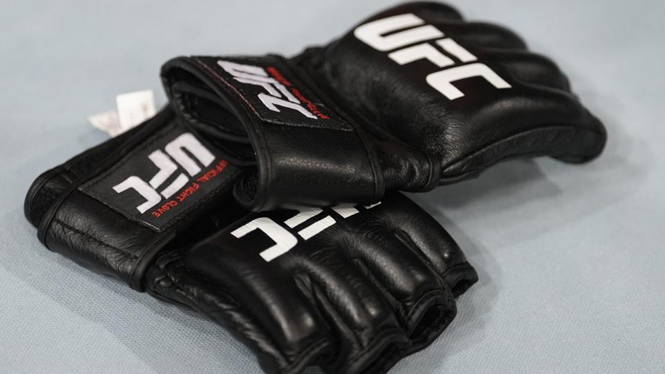 UFC Gloves