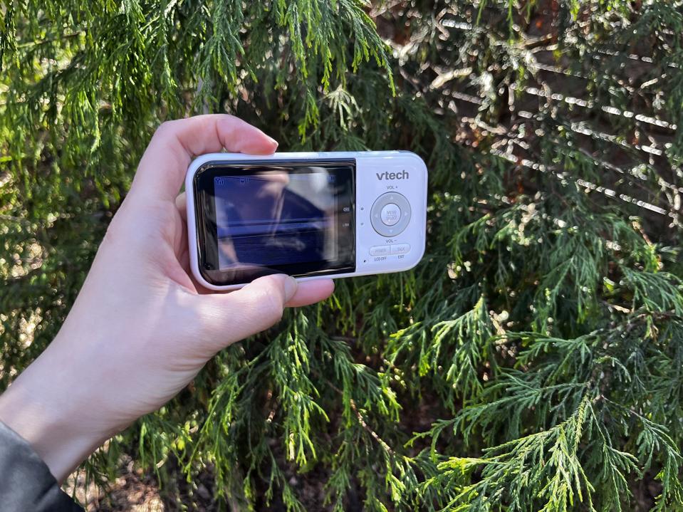 The author holding the VTech VM3254 Baby Monitor outside, with a juniper in the background