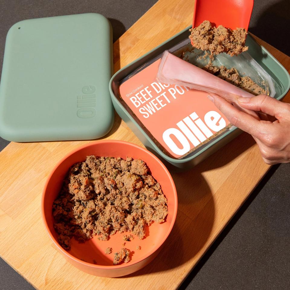 Best Fresh Dog Food 2026 - Forbes Vetted
