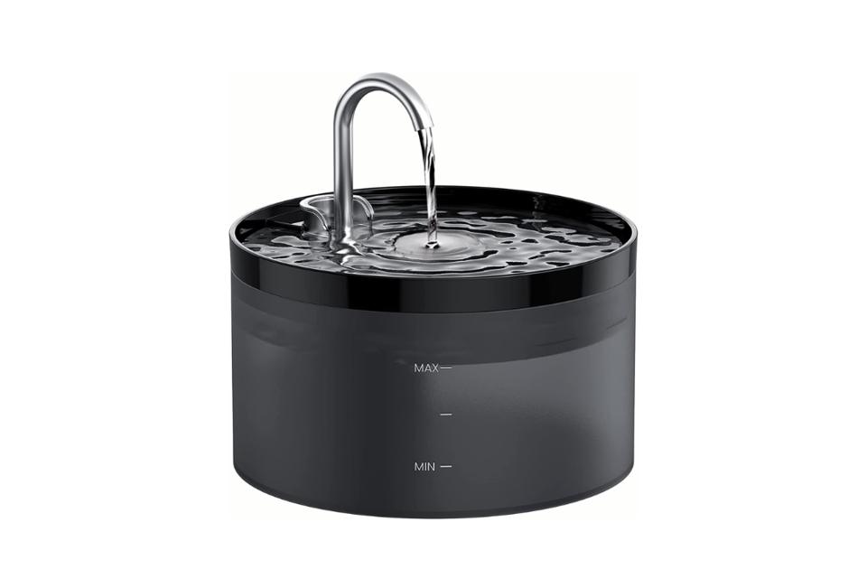 Best Cat Water Fountains 2026 - Forbes Vetted