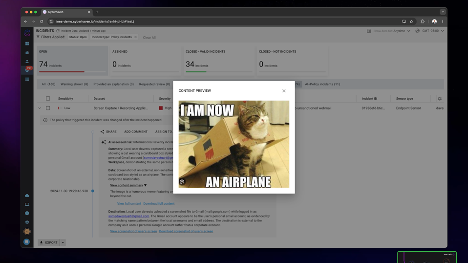 Cyberhaven Linea AI watching data on a network.