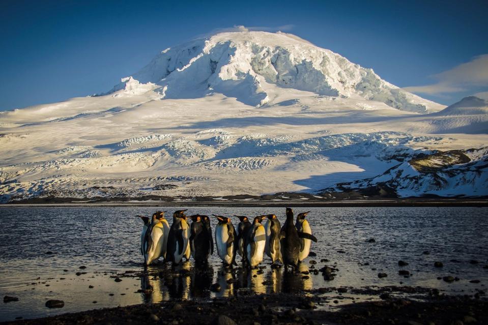 TOPSHOT-AUSTRALIA-CONSERVATION-ANTARCTICA
