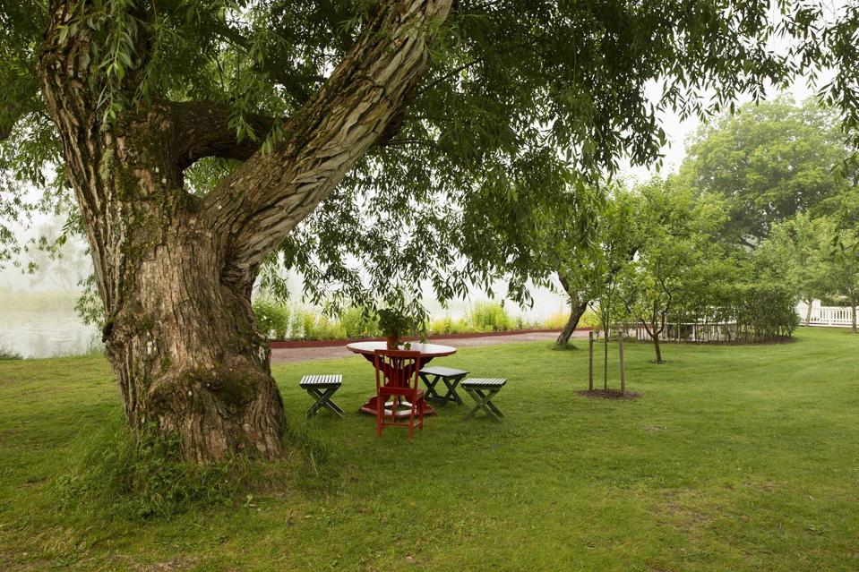 Escape To These Stunning Swedish Gardens That Are Wrapped In