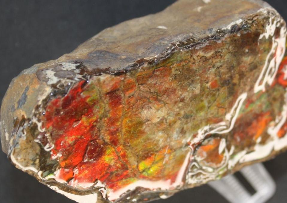 Study Reveals Nacre Structure Behind Ammolite Gemstone's Vivid Colors