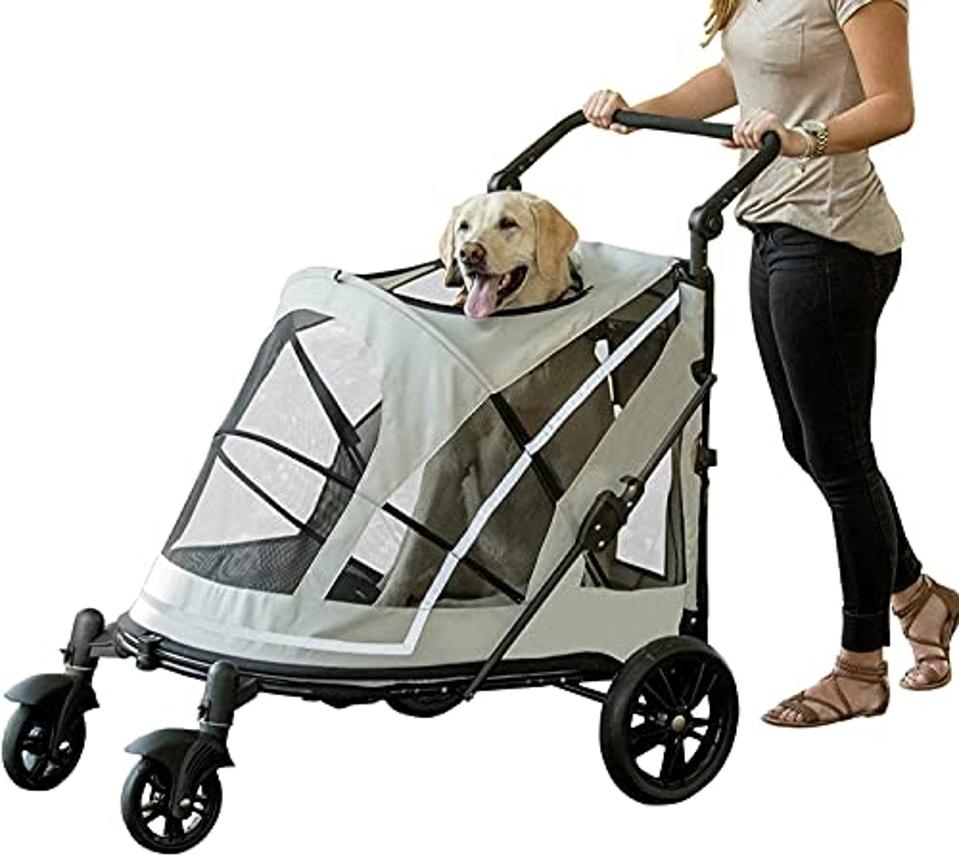 Best Dog Strollers 2026 - Forbes Vetted