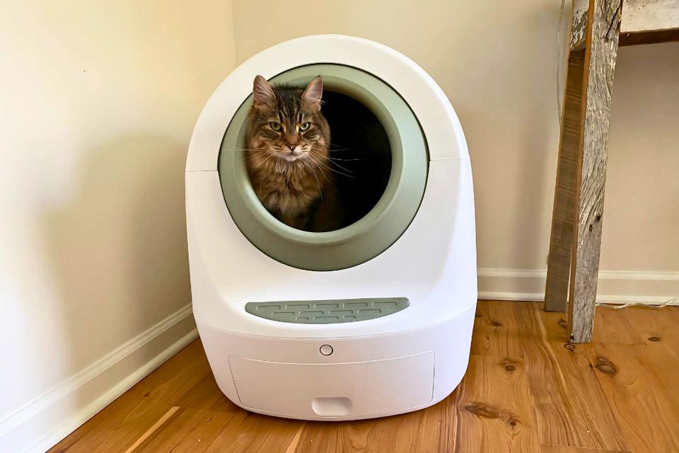 cat toys laser Automatic Cat Laser Toys, Interactive Laser Cat Toys for Indoor Cats/K –  Whiskers & Paws main image 0