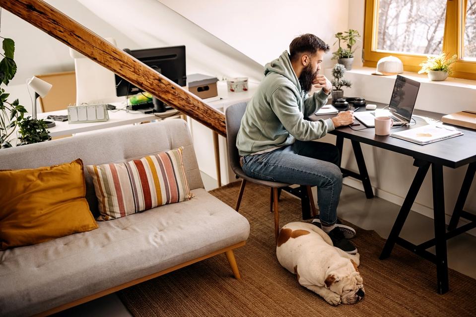 Dog is sleeping while his owner is working from home