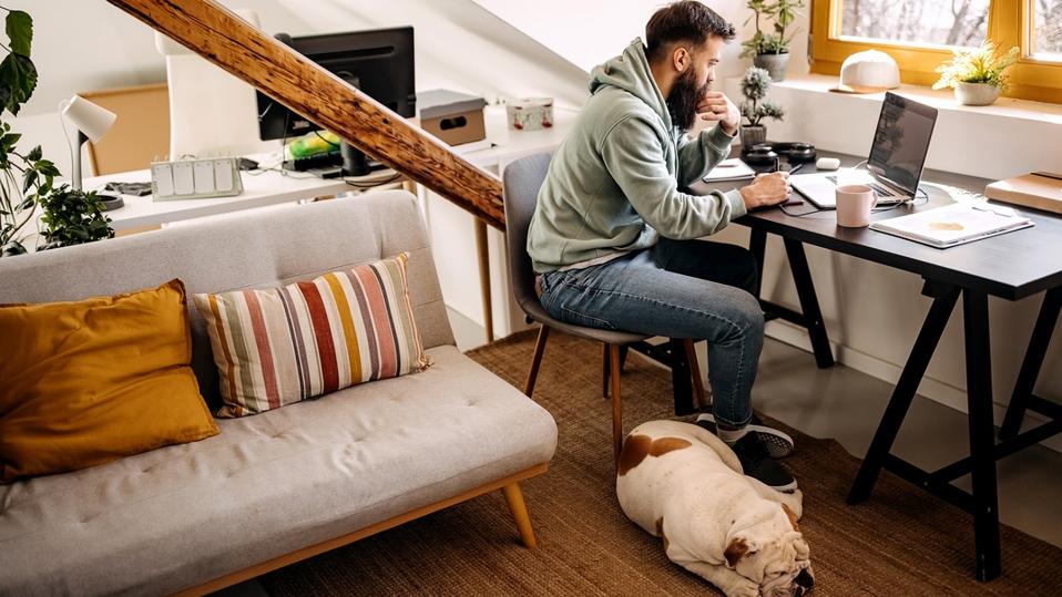Dog is sleeping while his owner is working from home
