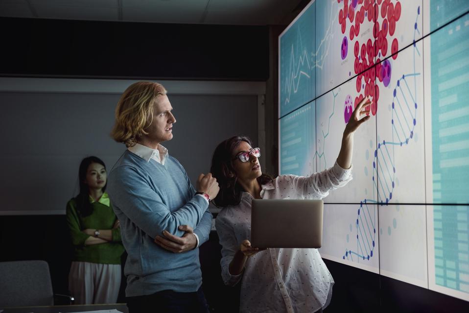 Analysing Data on a Large Display Screen