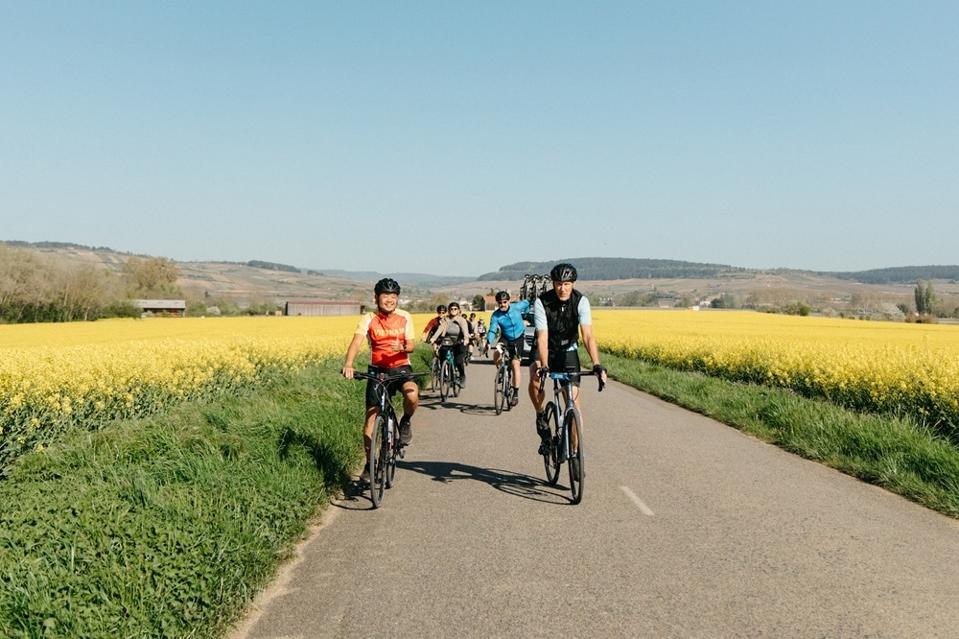 B&R 60th Cycling Burgundy