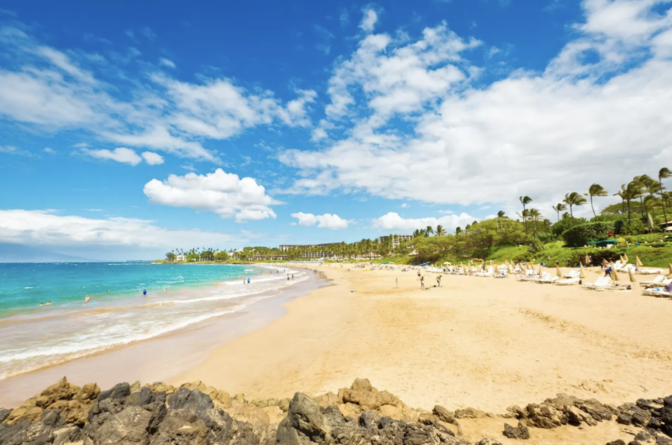 Screenshot 2025-06-04 at 1.25.44 PM