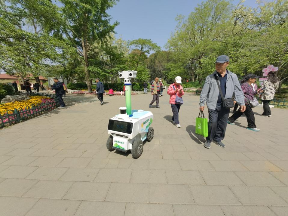 Ecological Patrol Robot