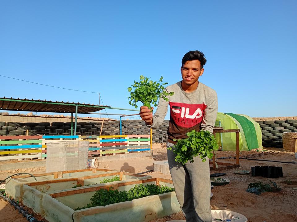 01_Mohamed Salem_Mohamed Ali