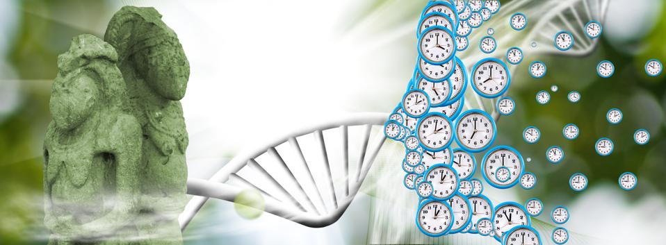 Abstract image of a person's profile symbolically composed of dials of different sizes