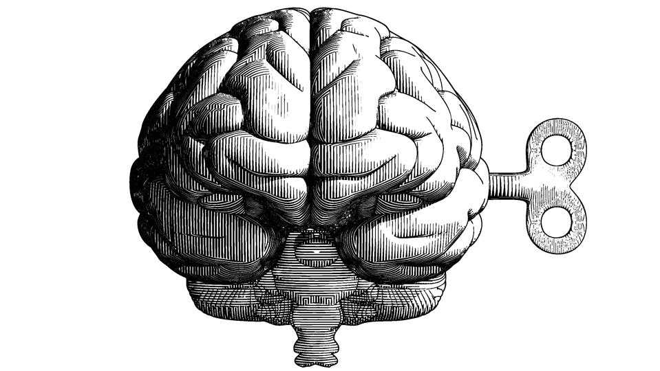 Vintage drawing brain and wind up key on white BG