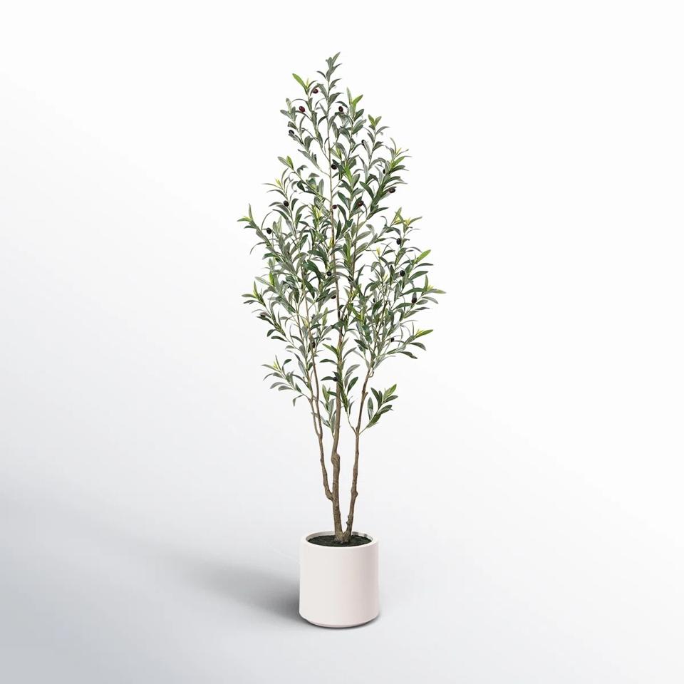 Best Fake Plants 2026 - Trees, Hanging Plants, Succulents, And More -  Forbes Vetted