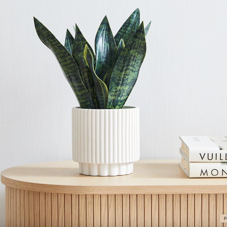 Best Fake Plants 2026 - Trees, Hanging Plants, Succulents, And More -  Forbes Vetted
