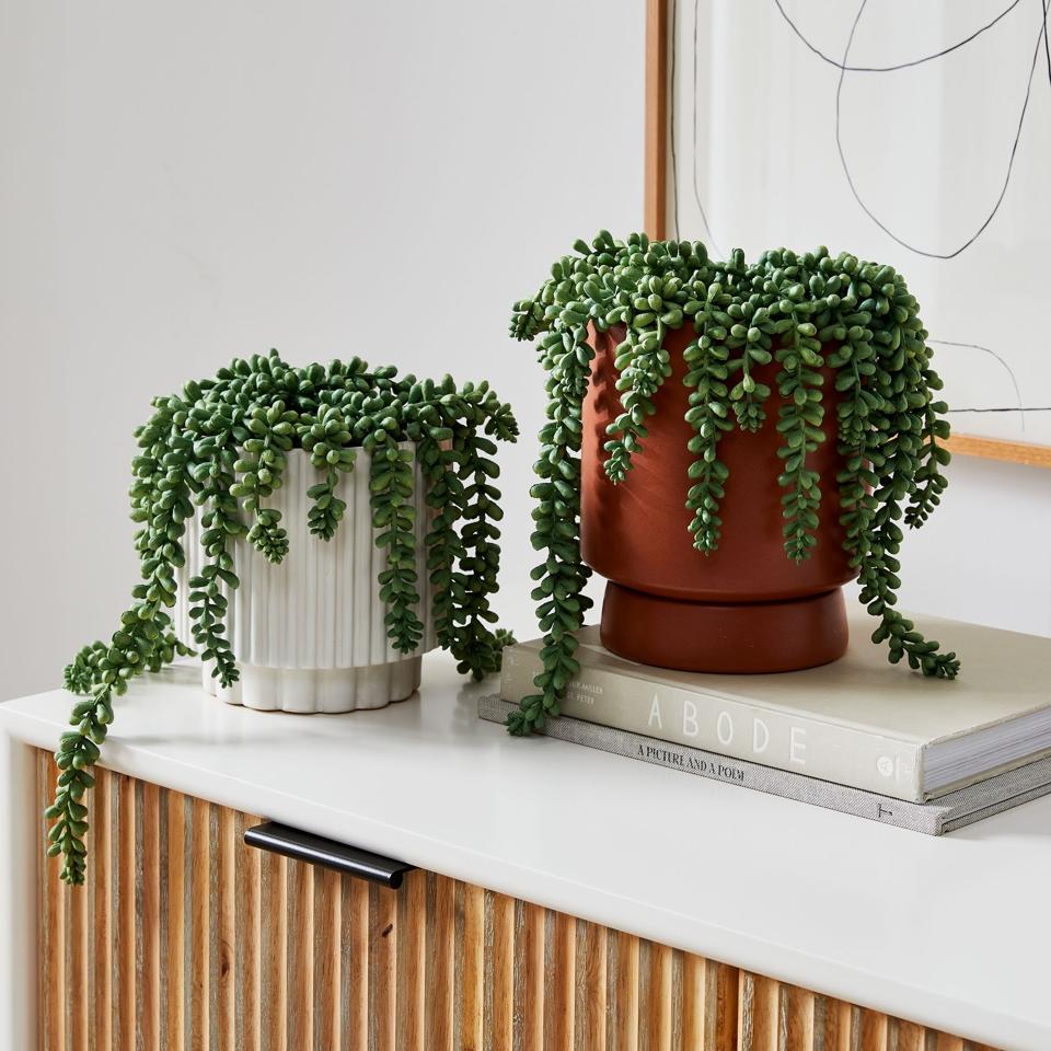 Best Fake Plants 2026 - Trees, Hanging Plants, Succulents, And More -  Forbes Vetted