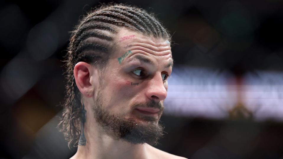 UFC 316: Dvalishvili vs. O'Malley 2