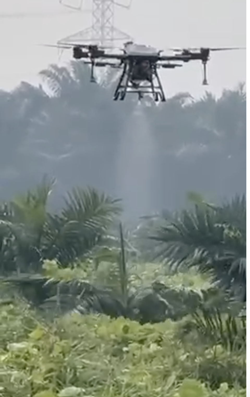 Screenshot 2025-06-08 at 15.24.15 PM