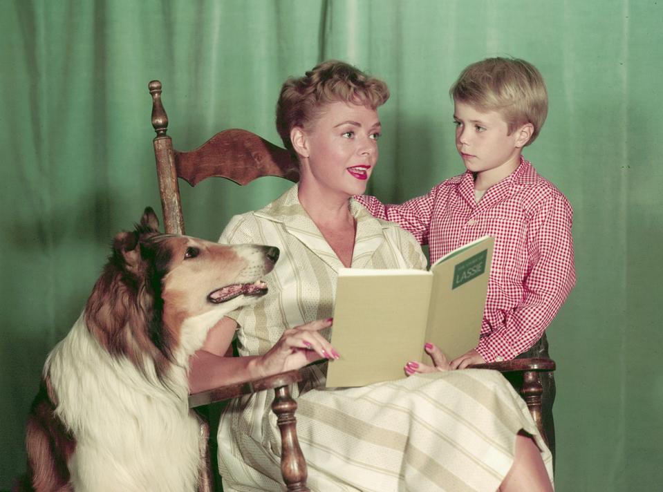 Baby, Lockhart, & Provost In 'Lassie'