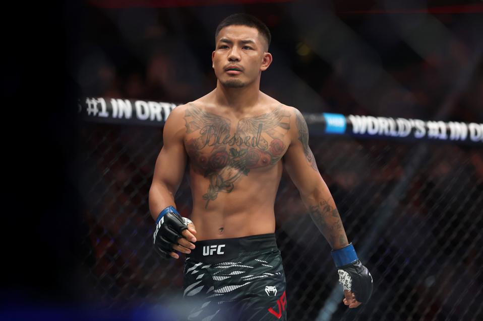 UFC 316: Dvalishvili vs. O'Malley 2