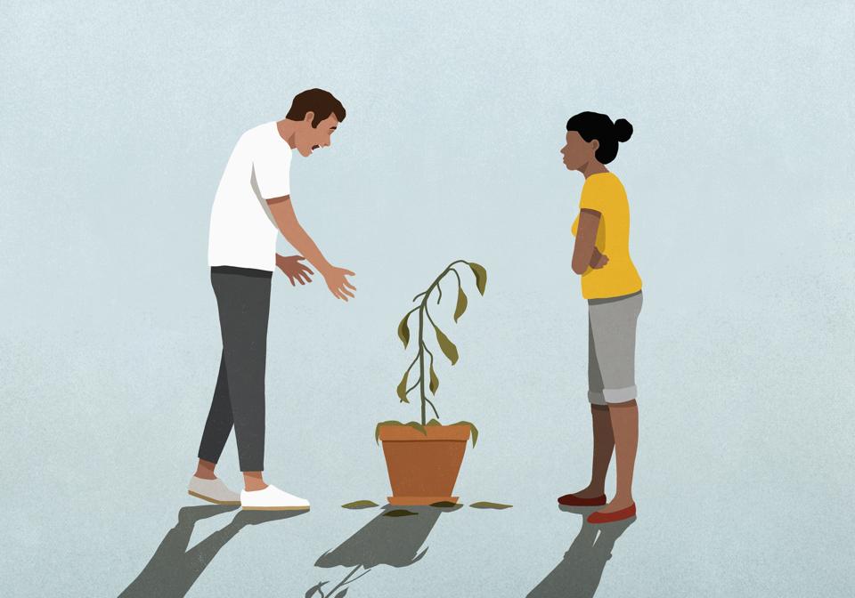 Unhappy couple looking at dead houseplant
