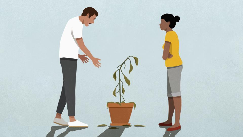 Unhappy couple looking at dead houseplant